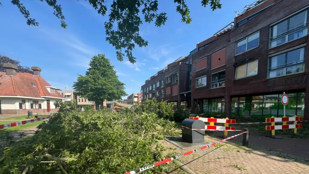 boom tegen appartementen Wolvega