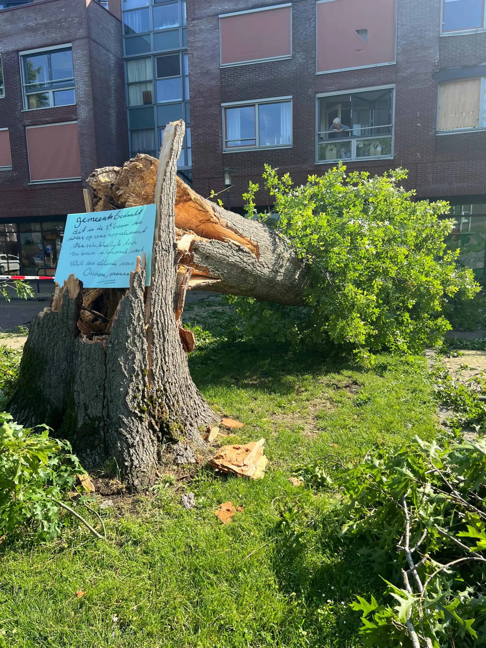 boom tegen appartementen Wolvega