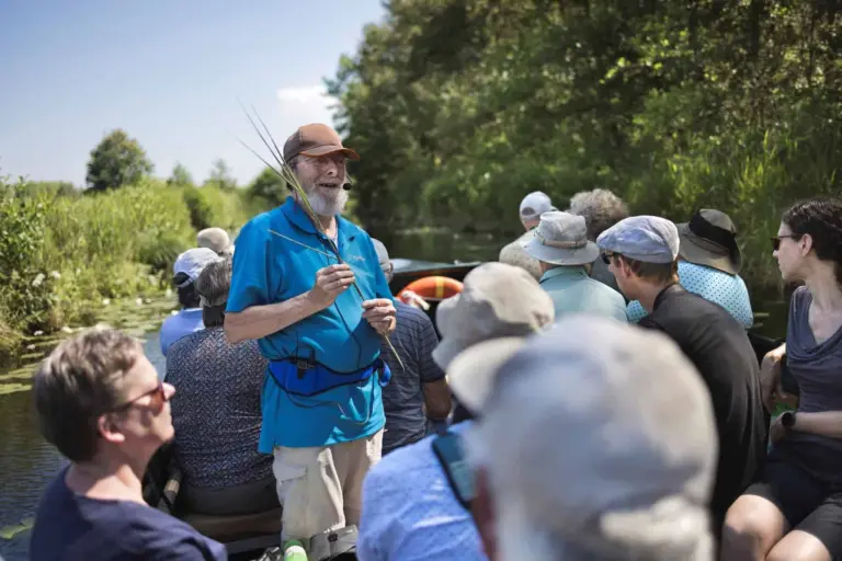 Excursie met de boot door De Weerribben (foto Marco van de Burgwal, Staatsbosbeheer)