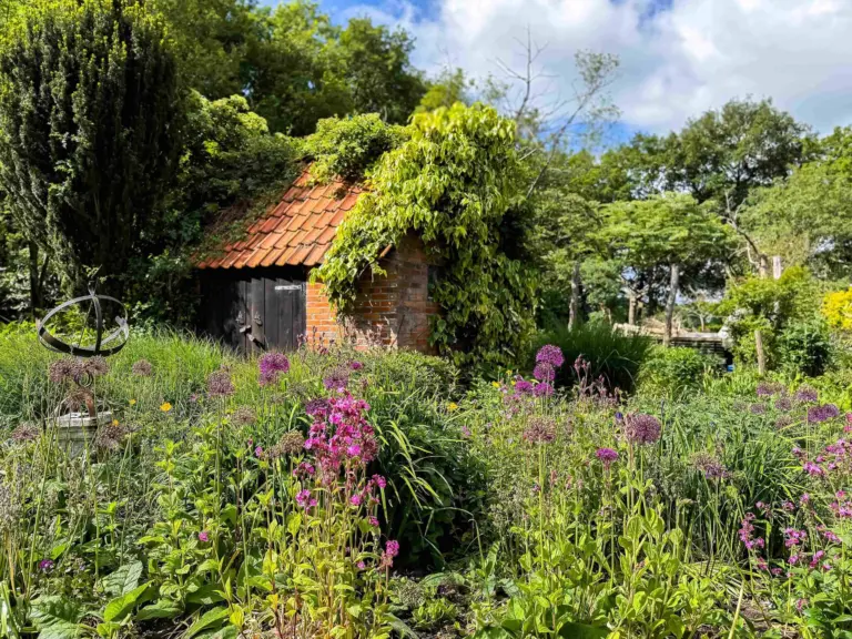 De mooiste levende tuinen van Steenwijkerland. (foto aangeleverd)