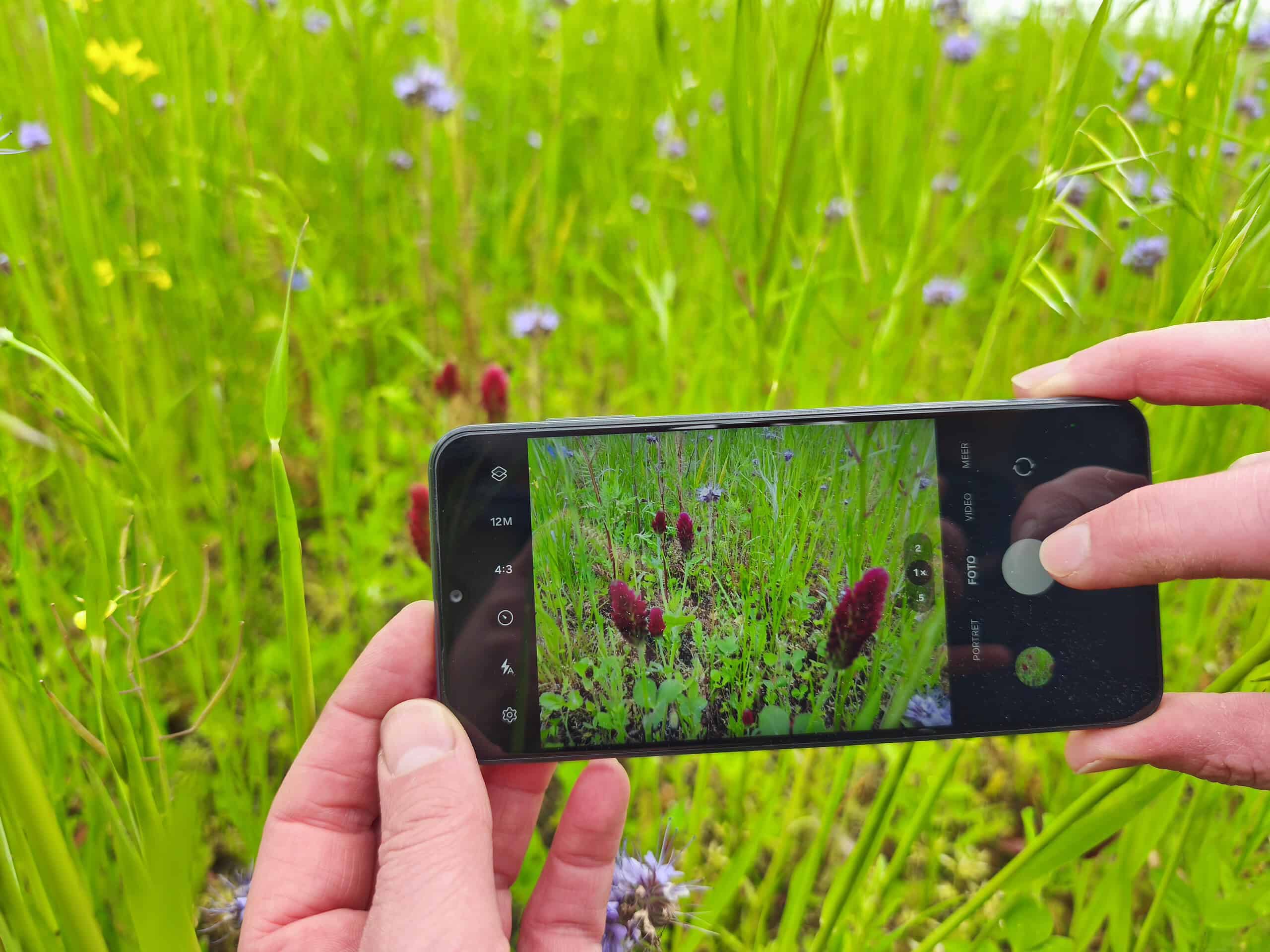 Fotgraferen met mobiel (foto aangeleverd)