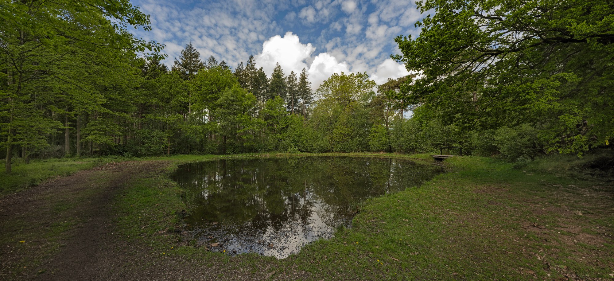 Mooi plek langs de Woldweg op Natuurbrgaafplaats heudewold (foto Philip Friskorn)