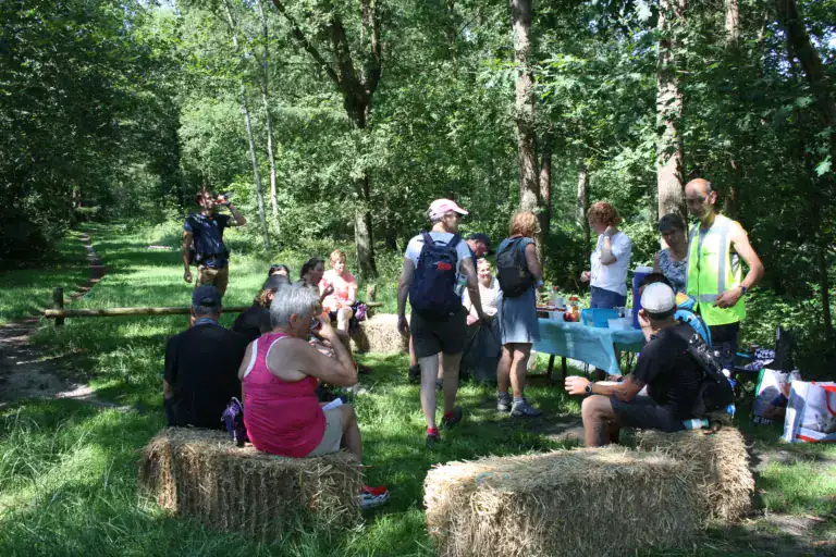 Bijzondere 19e editie van Wandeldag Oldeberkoop