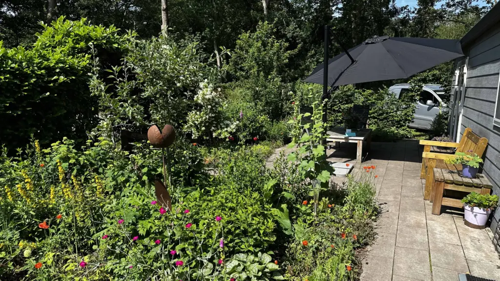 Tussen kleur, vogels en vlinders: op bezoek bij een levende tuin op De Bult