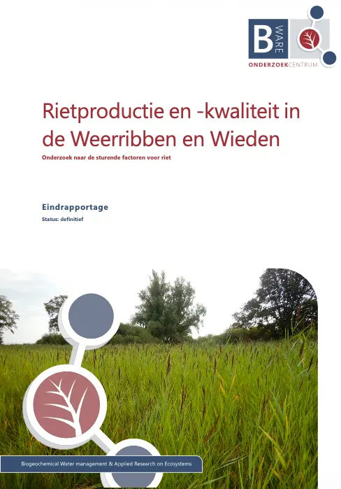 Afbeelding rapport: B-WARE