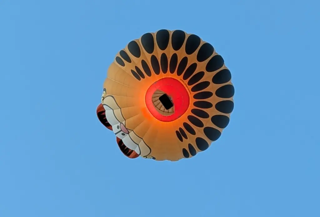 Ballonnen landen laat in de buurt van De Tjonger