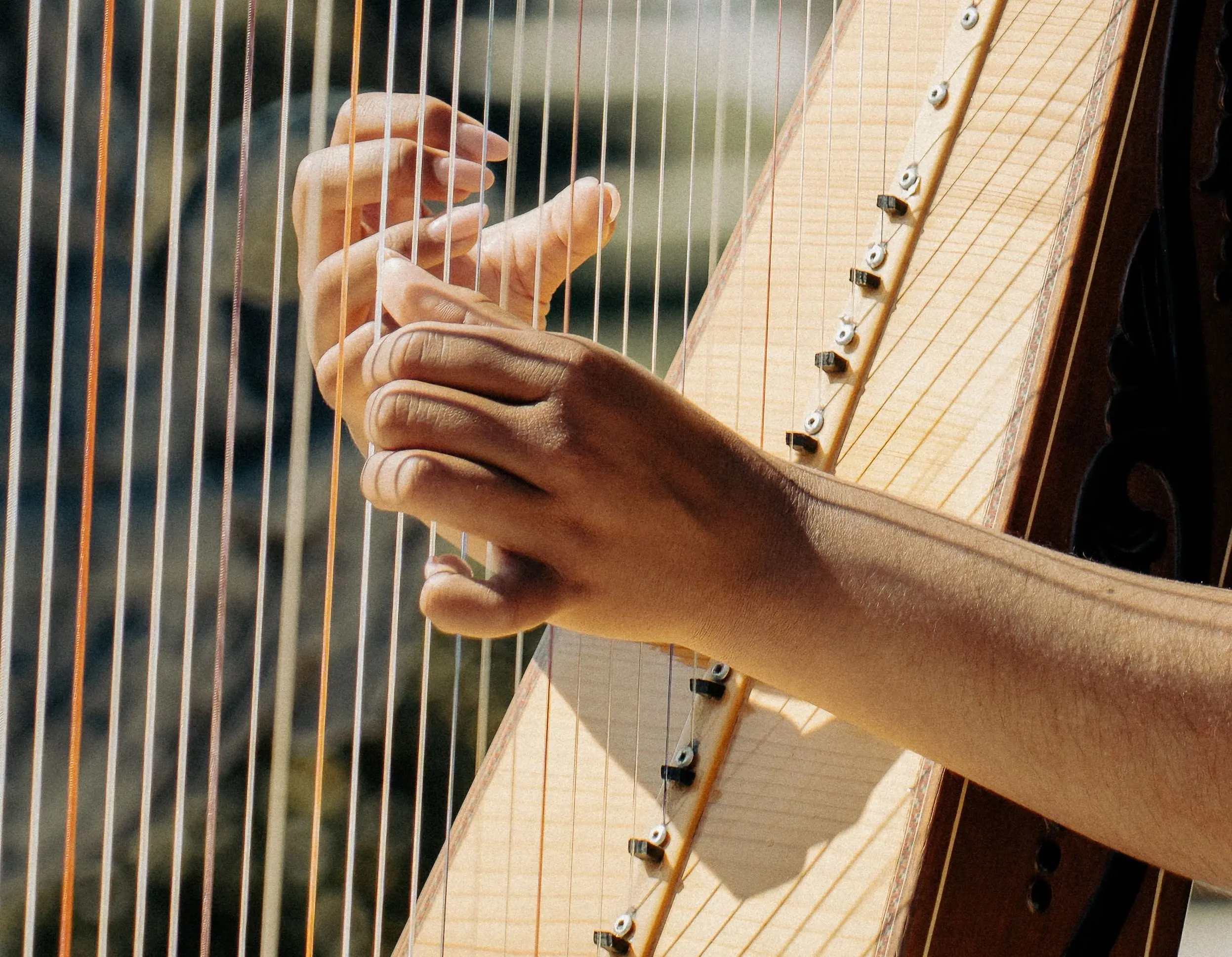 Harp foto Pexels