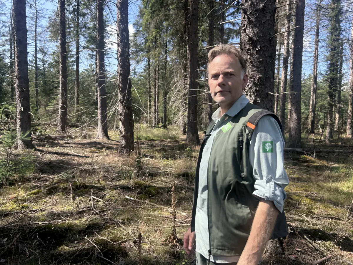 Boswachter Lysander van Oossanen (foto: Marcus Siebes).