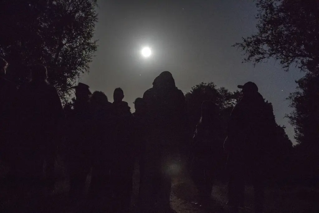 Beleef het Drents-Friese Wold bij volle maan