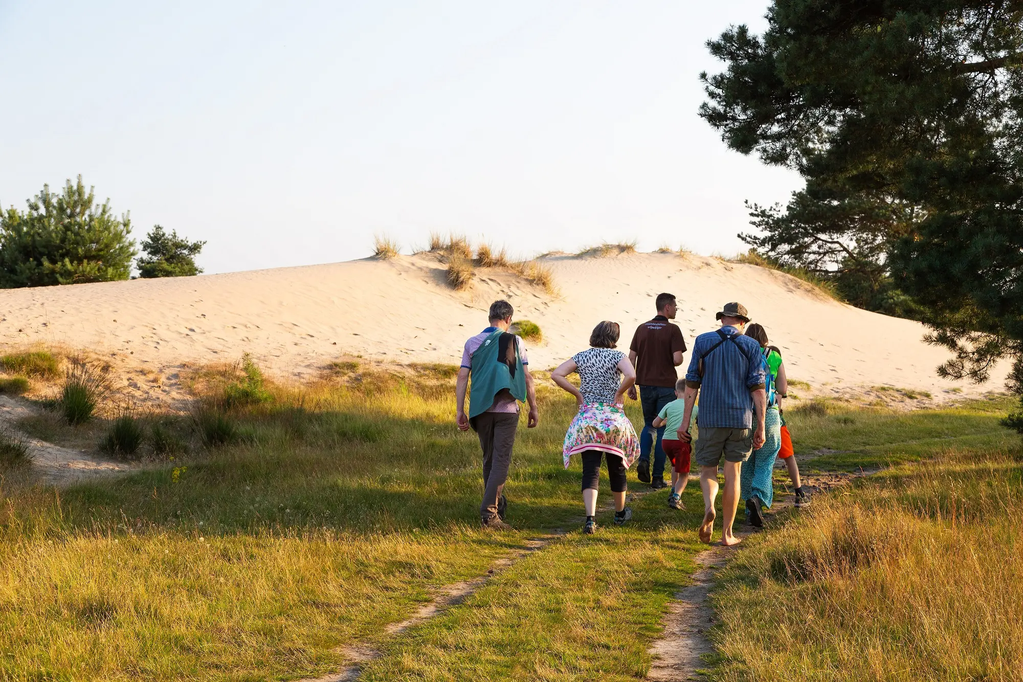 Zomeravondwandeling-Aekingerzand-Laura-Csonka