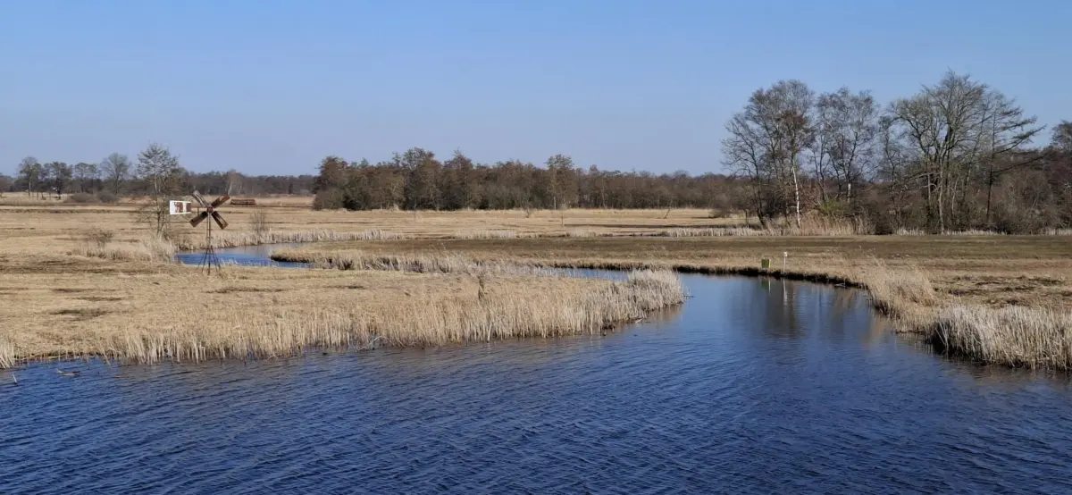 Nationaal Park Weerribben-Wieden (foto: Ingrid de Roode)