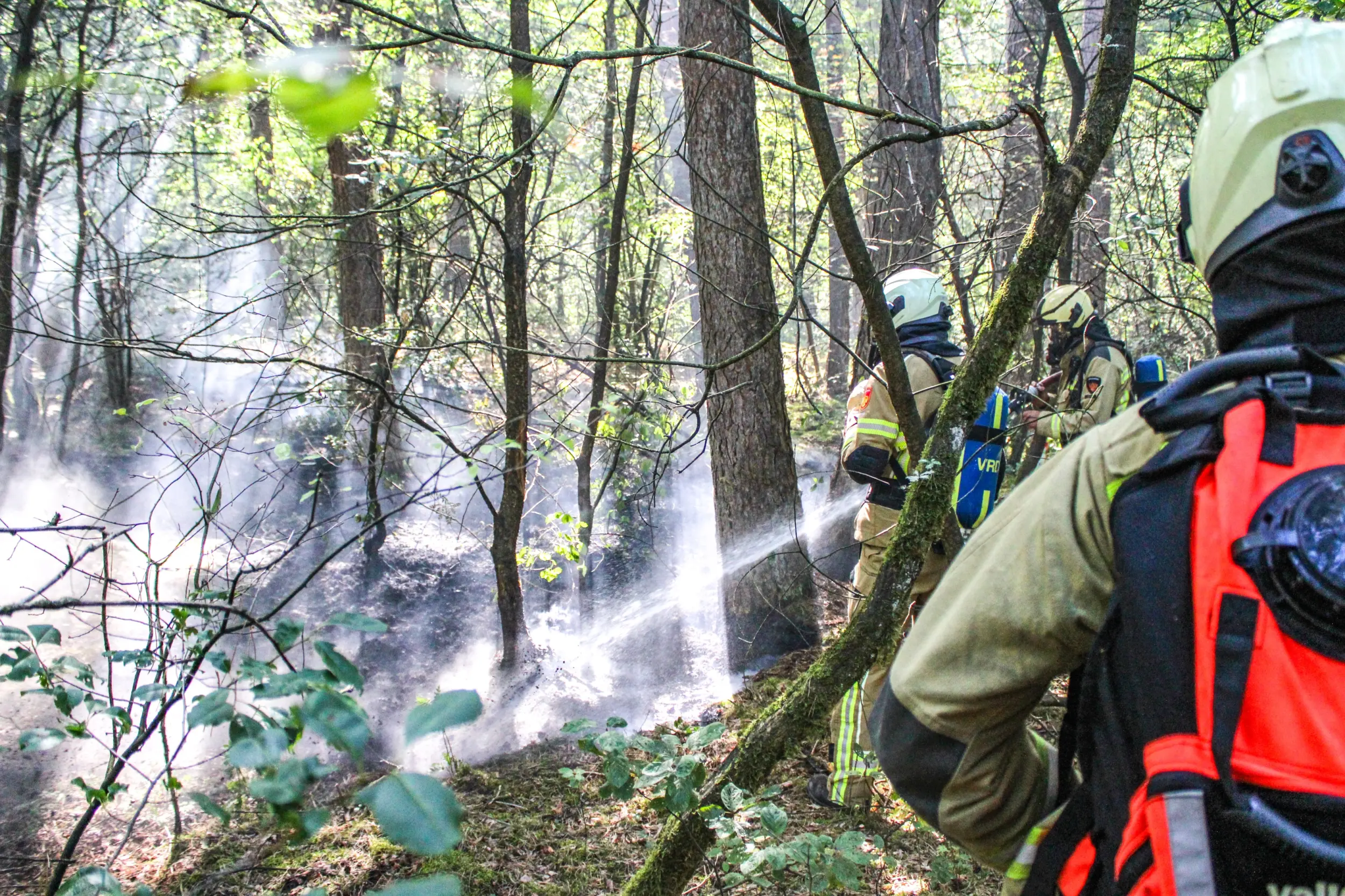 Brandweer blust bosbrand in Diever (foto: BTBmedia)