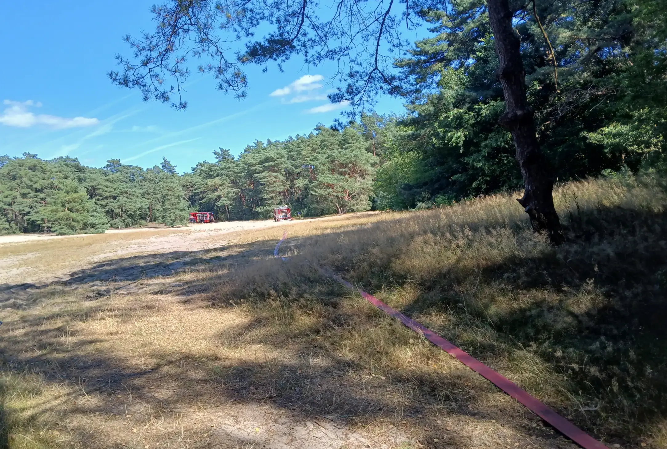 De brandweer kwam met diverse spuitwagens naar het Nationaal Park Weerribben-Wieden foto Miranda Stuurman