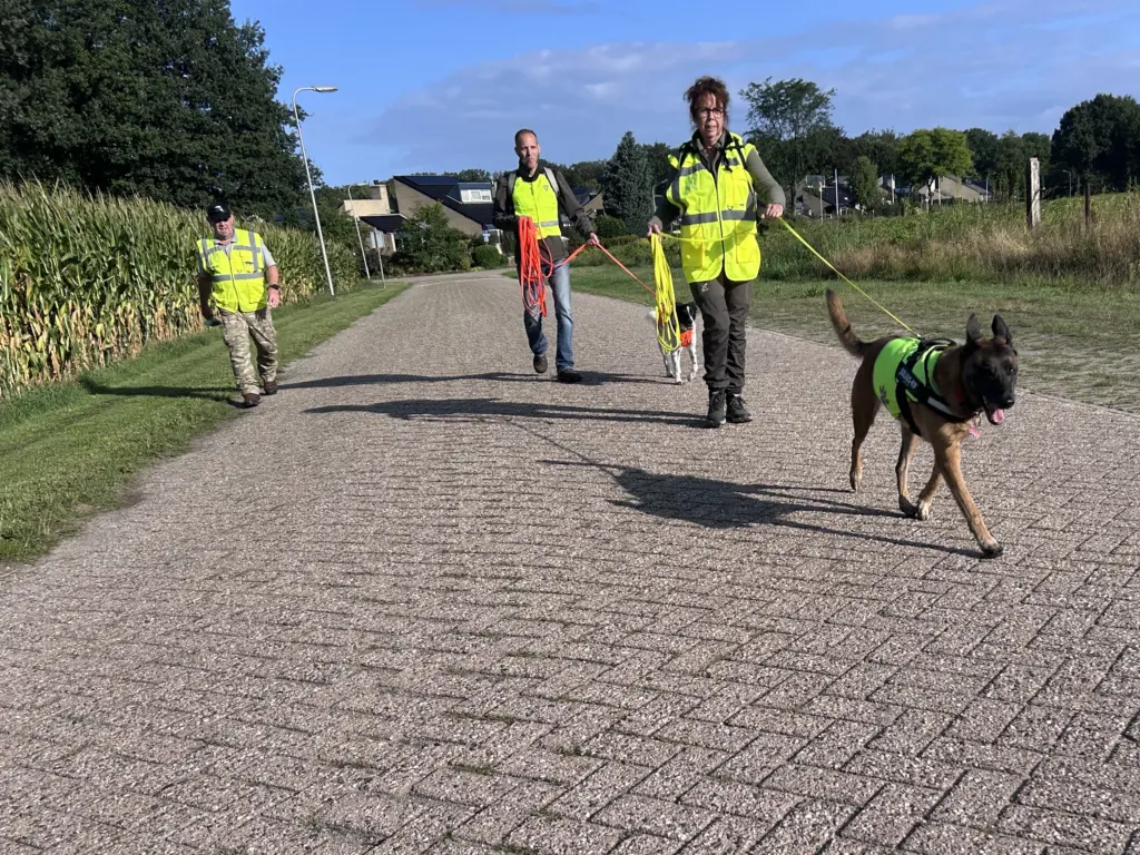 Elke seconde telt: speurhonden trainen voor echte zoekacties