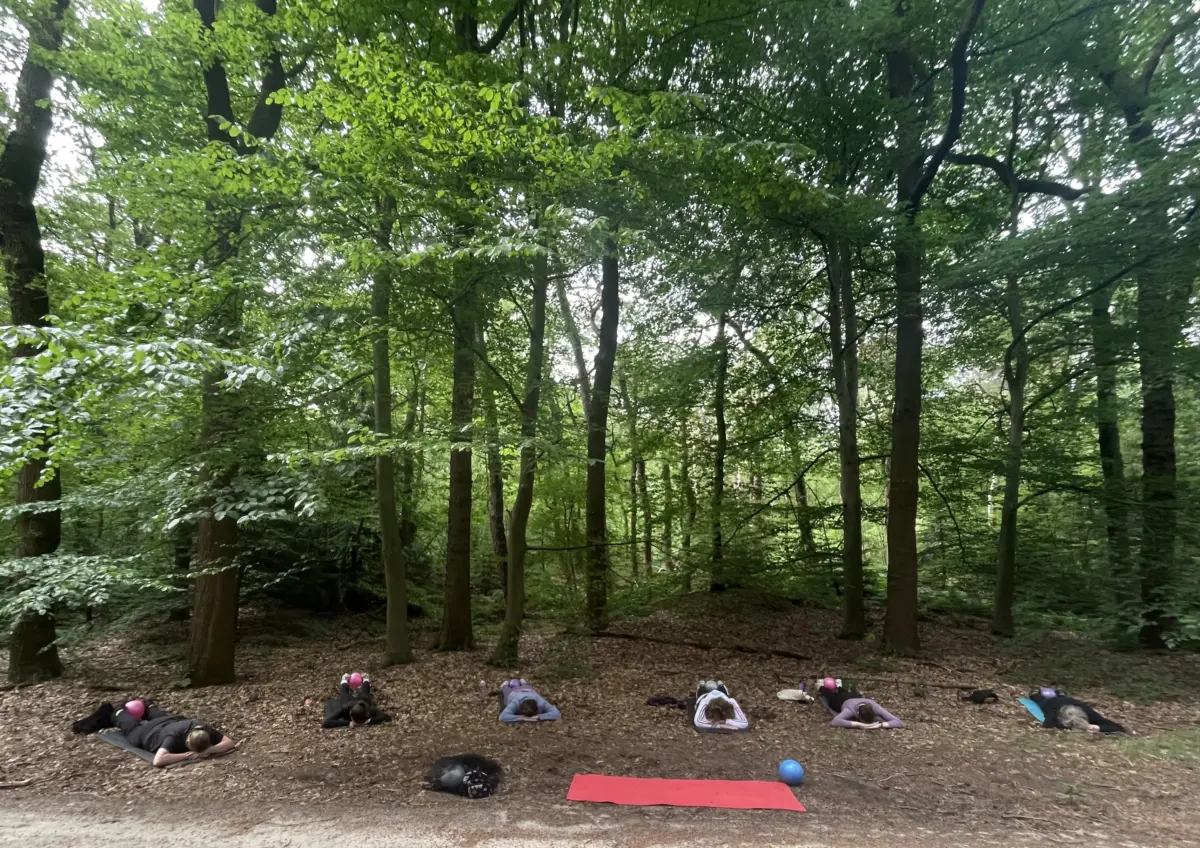 Ontspannen tussen de bomen (Foto: Jannine Langedijk).
