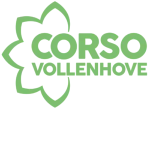 Logo Corso Vollenhove