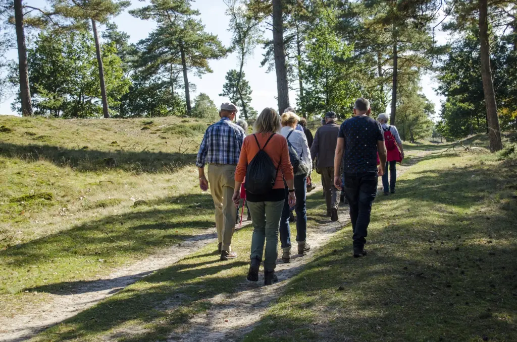 Nazomerwandeling in het Drents-Friese Wold