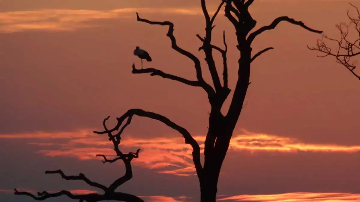 Zonsondergang (foto: Laura Csonka)