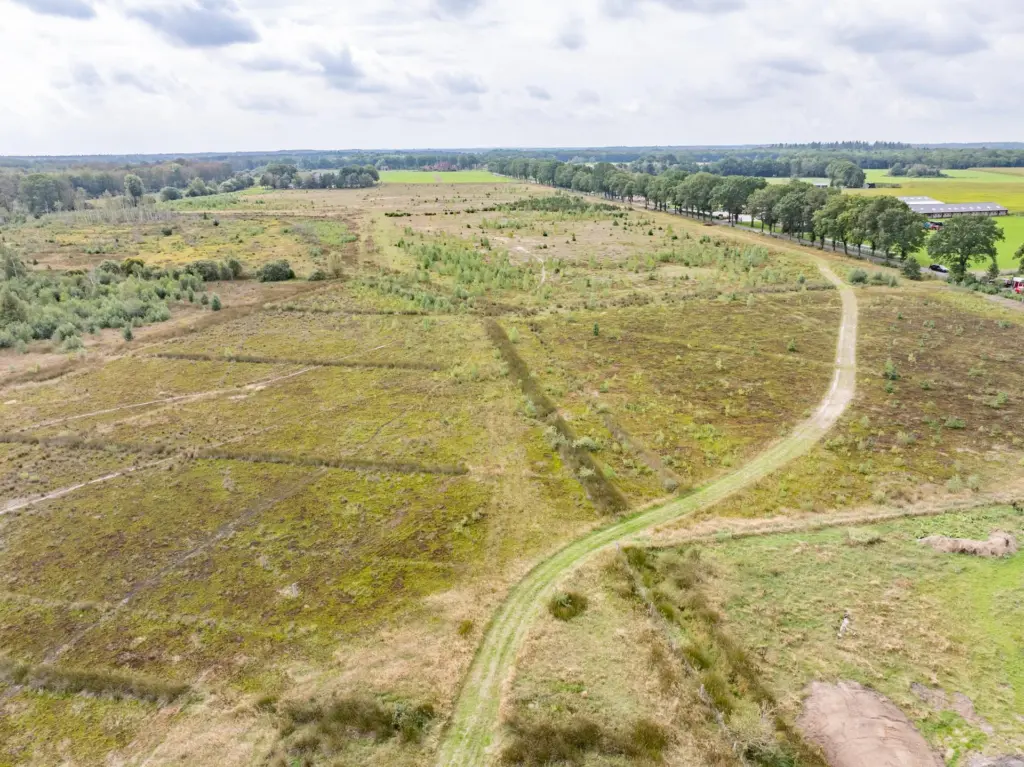 Nieuwe ruiterknooppunten in Drents-Friese Wold
