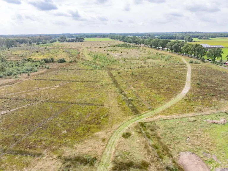 Nieuwe knooppuntenroute Drents Friese Wold foto BTBmedia