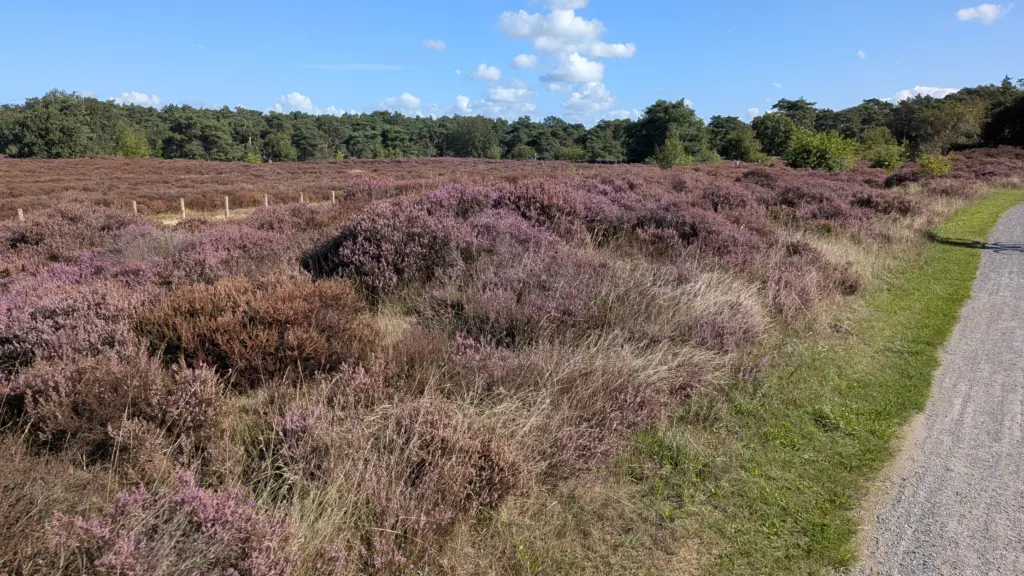 Weekend vol muziek, motorgebrul en mooie natuur