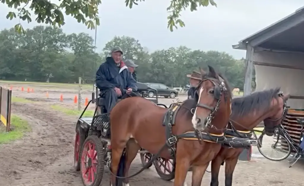 Paarden4daagse Zorgvlied gaat toch door