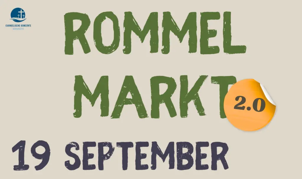 Grote veiling tijdens Rommelmarkt 2.0 in Nijetrijne