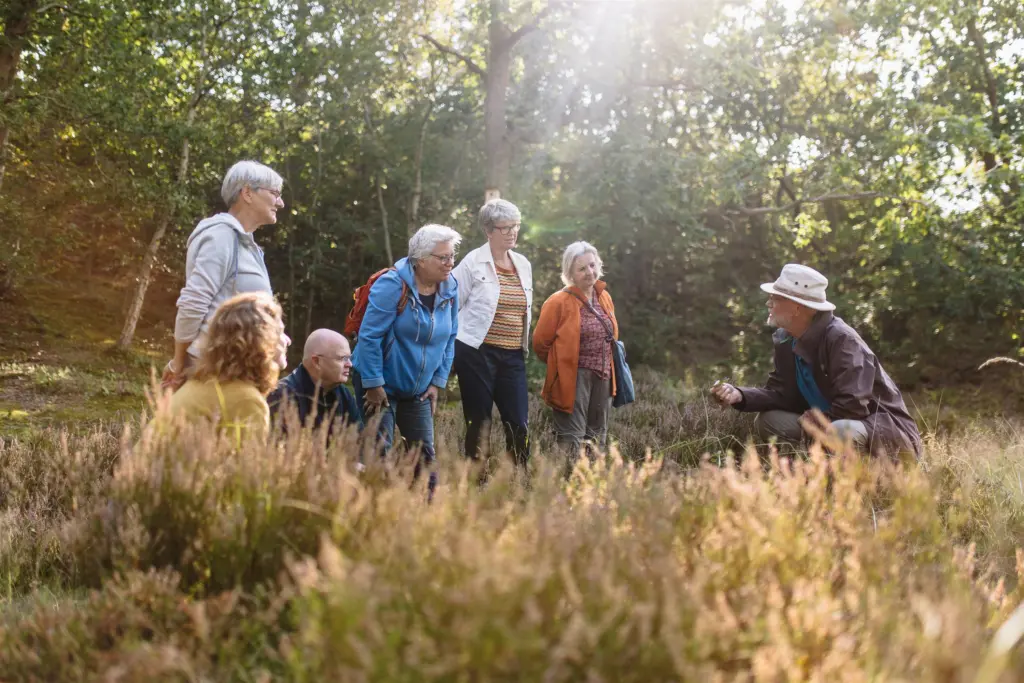 Wandeling in het Drents-Friese Wolde (Foto: Marleen Annema).