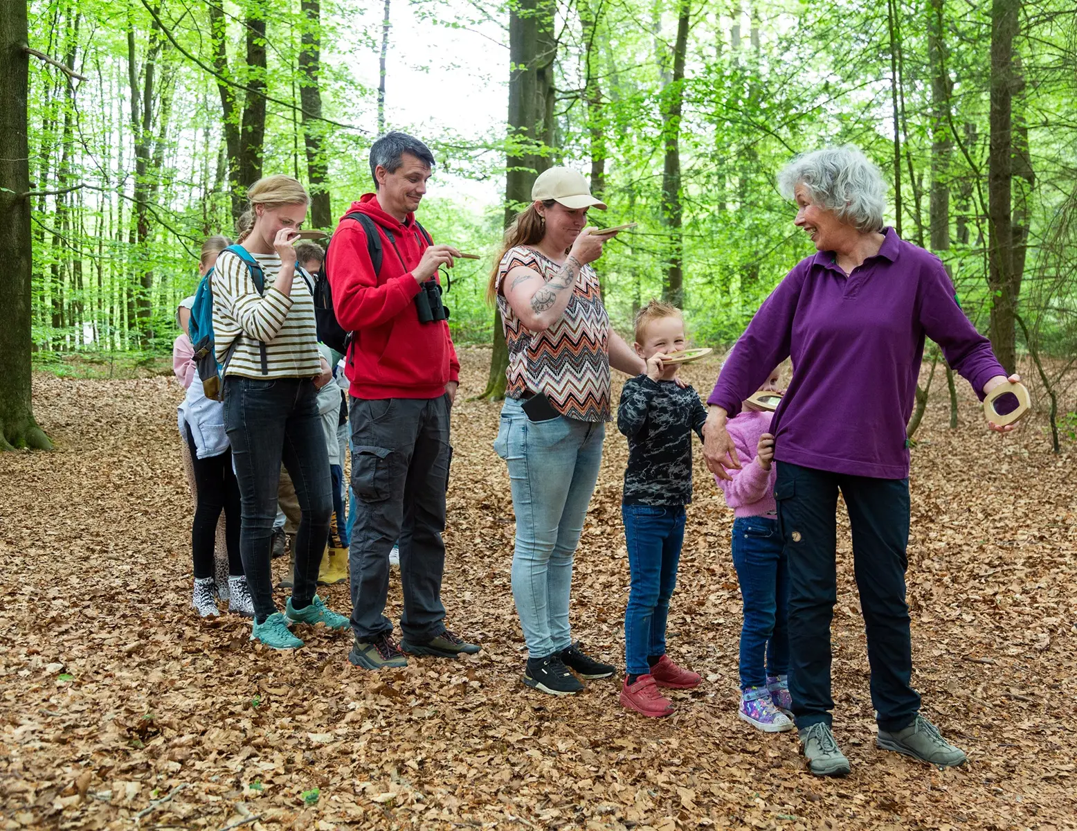 Bossafari in het Drents-Friese Wold