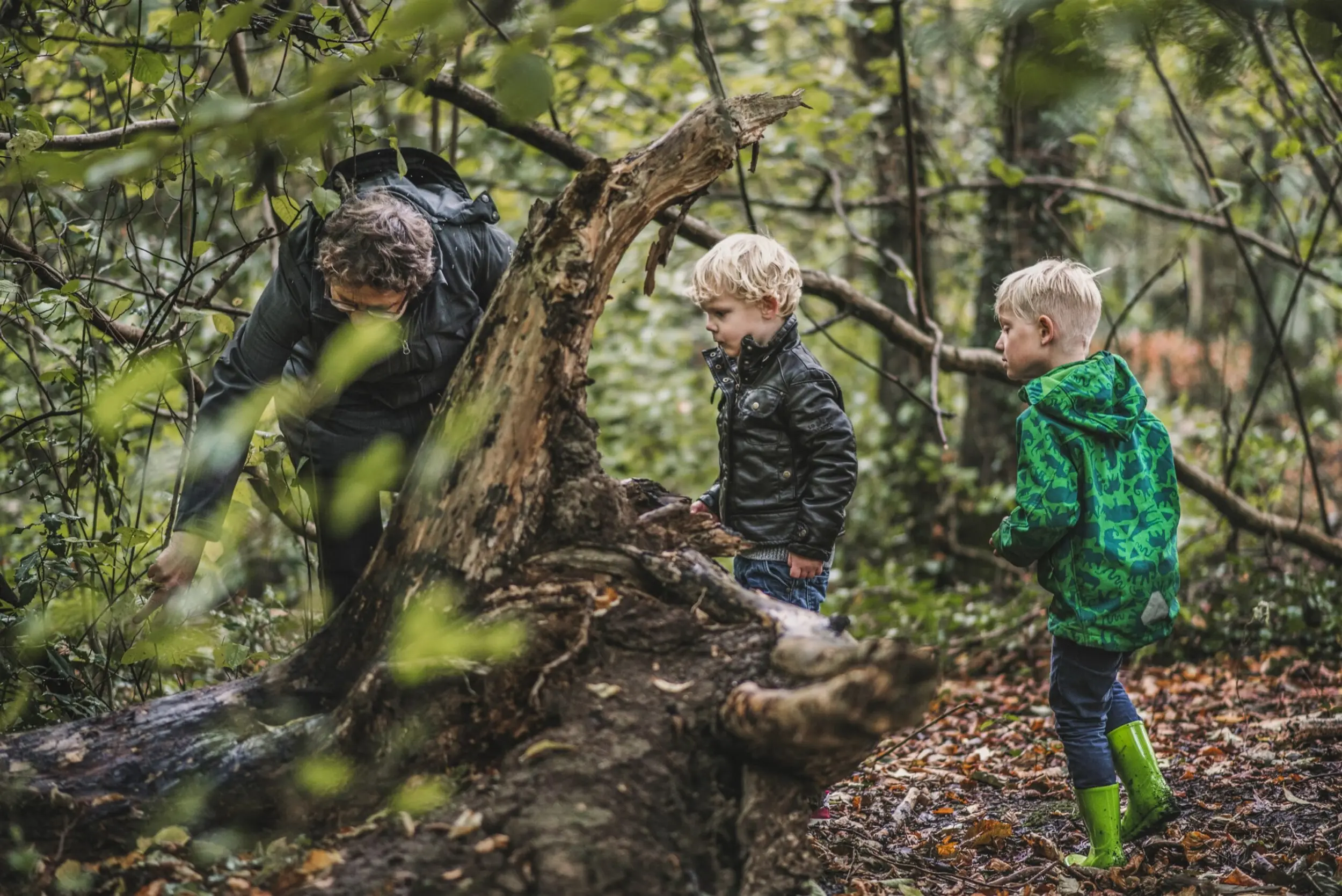 Woensdag is er weer van alles te doen rond het Buitencentrum van Staatsbosbeheer in Appelscha (foto: Ayla Maagdeberg).