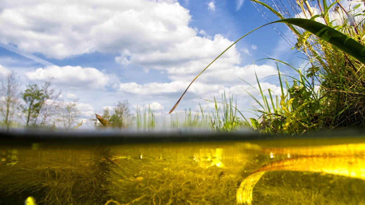 Deels onder water (foto aangeleverd)