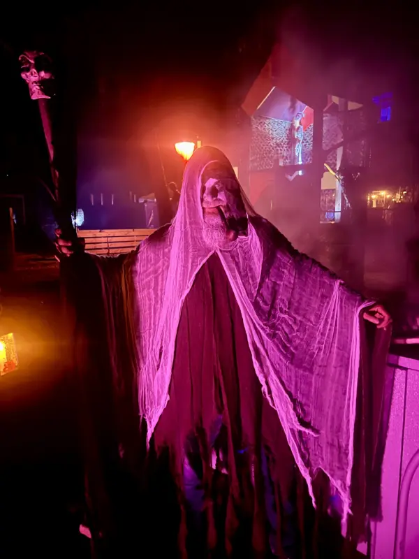 Een soort Magere Hein tijdens de Halloweentocht in Wolvega.