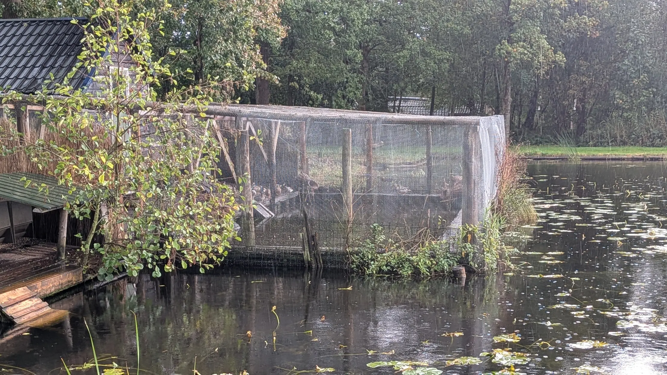Eendenverblijf in de Kooi van Pen (foto: De Werven).