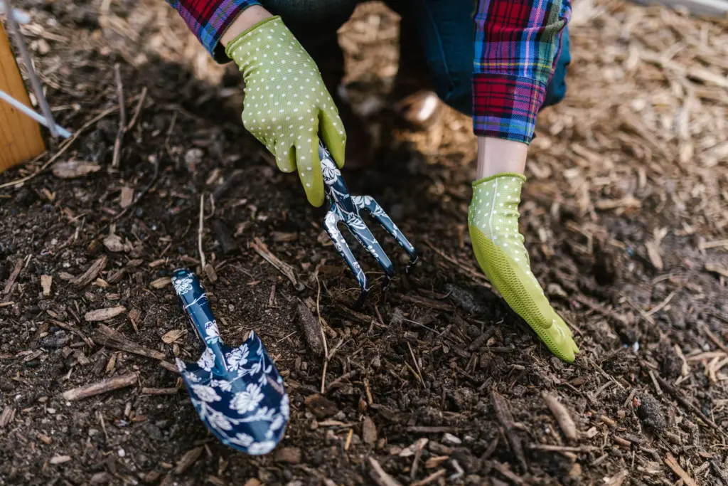 Vergroenen van je tuin is ook duurzaam (foto_ Pexels)