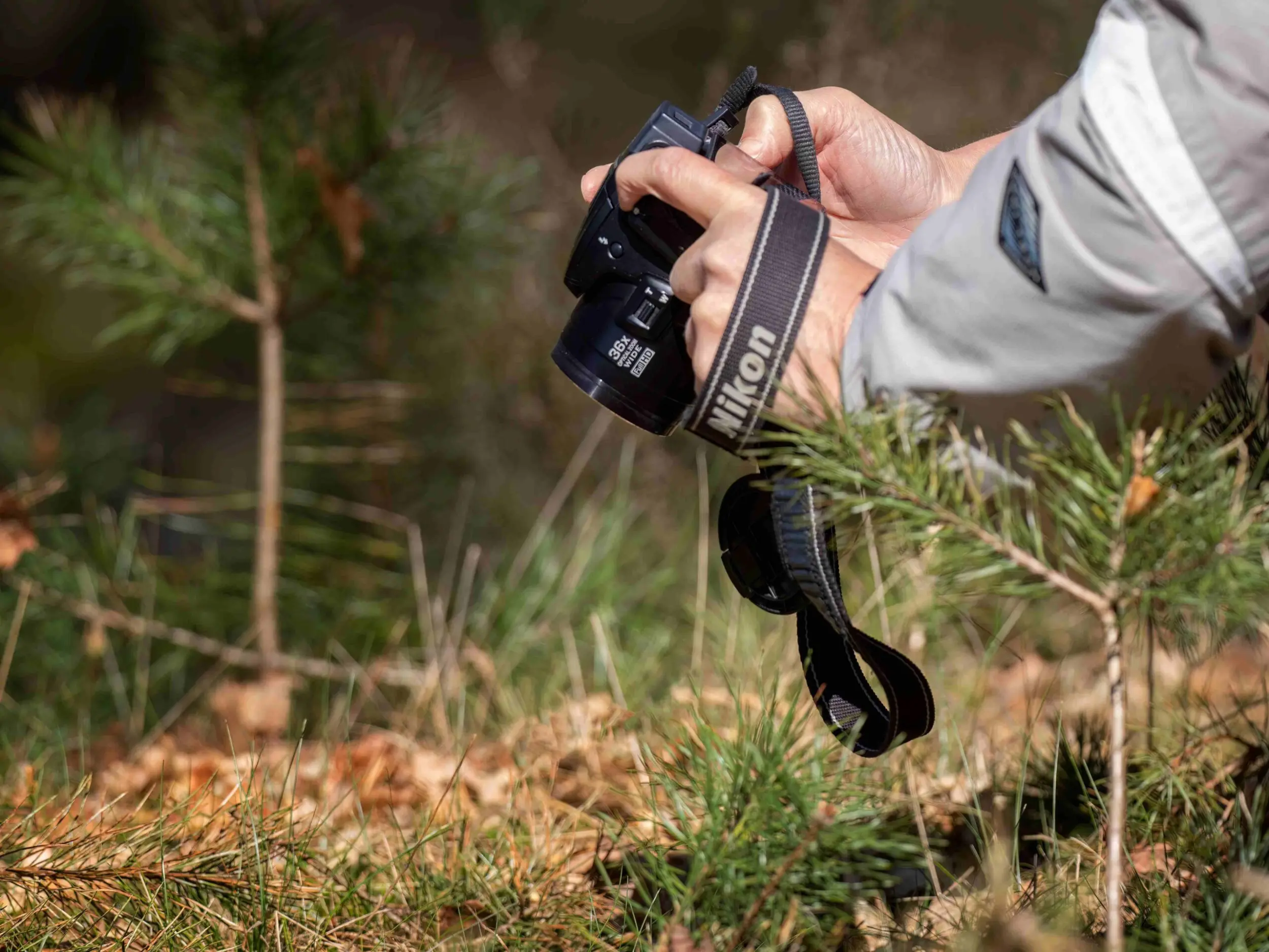Fotoworkshop voor beginners
