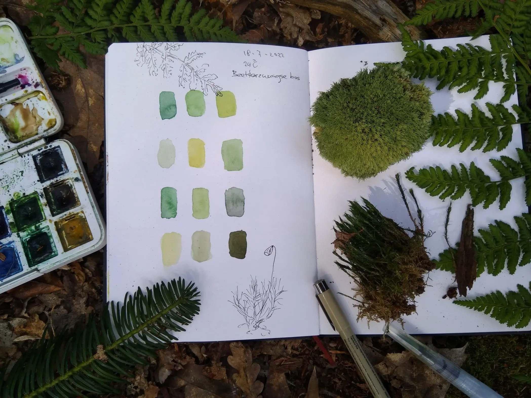 Workshop natuurjournalen