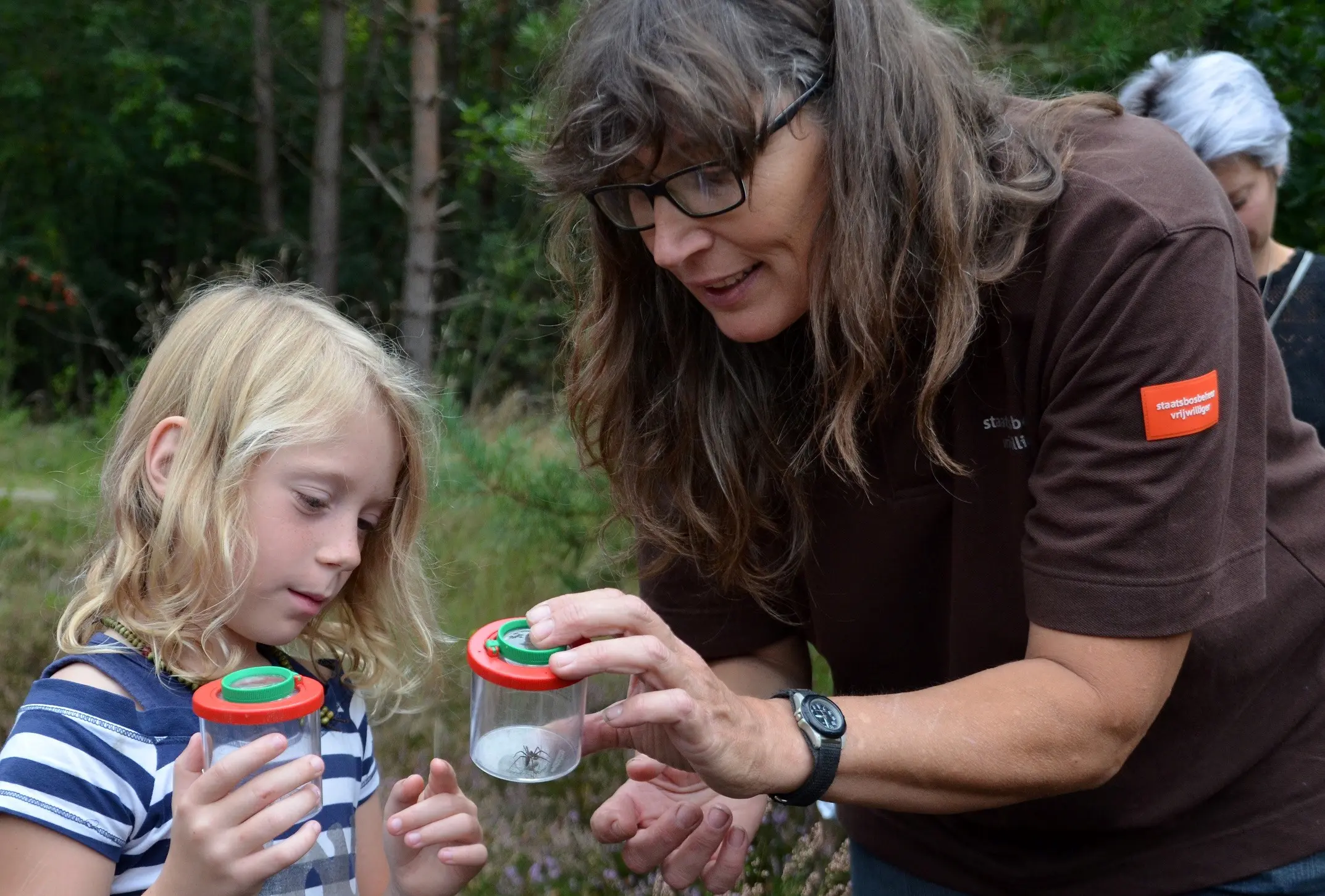 Spinnensafari bij Buitencentrum Drents-Friese Wold