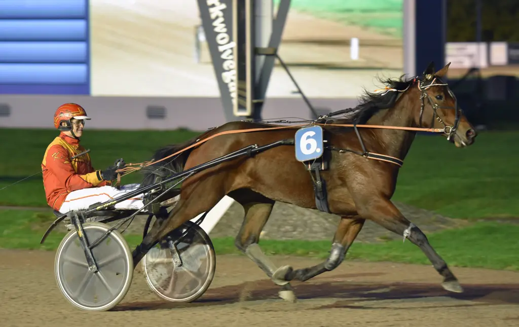 De winnende combinatie: Kevin van der Linden en Shikara Boko (foto: Lenus van der Broek).