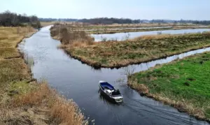 Rietland en petgaten in De Wieden (foto: Ingrid de Roode).